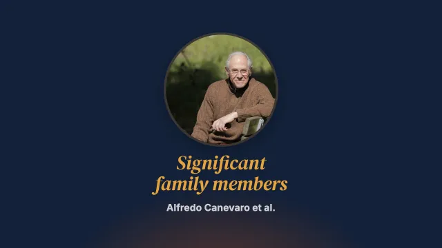 Systemic individual therapy with the involvement of significant family members