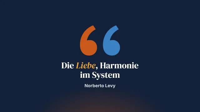 Die Liebe: Harmonie im System