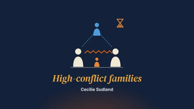 Challenges and dilemmas working with high-conflict families in child protection casework