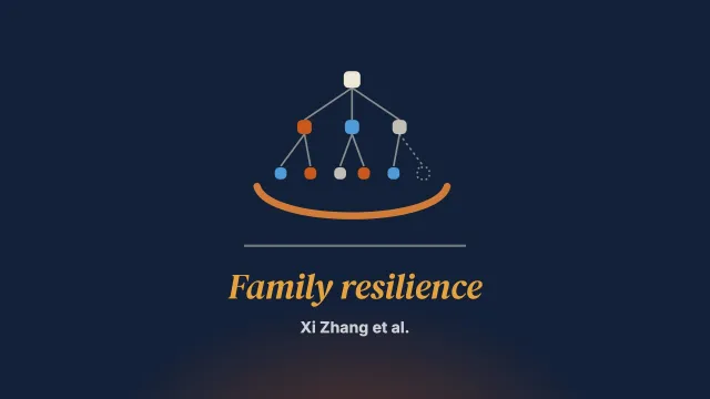 “The clan carries us”: kinship, honor, and the collective enactment of family resilience among Yi households living with HIV in rural Southwest China
