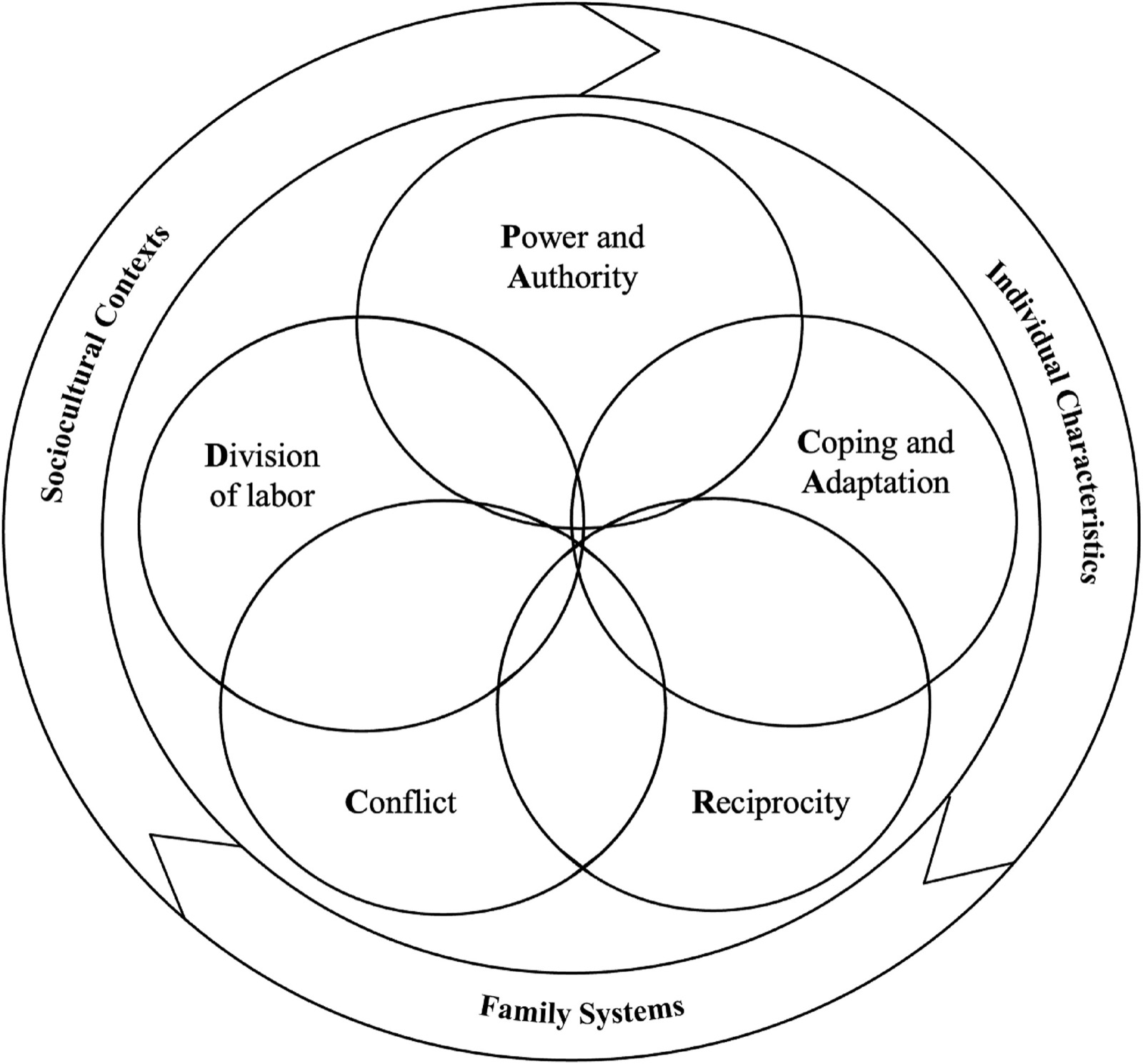 Cinq cercles qui se chevauchent&nbsp;: pouvoir et autorité, répartition des tâches, conflit, ajustement et adaptation, réciprocité, entourés des contextes socioculturels, des caractéristiques individuelles et des systèmes familiaux