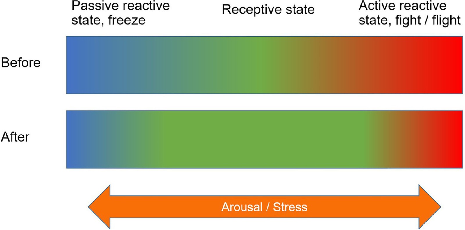 Duas faixas coloridas, antes e depois, do estado reativo passivo ao estado reativo ativo, com a zona verde do estado receptivo mais larga depois