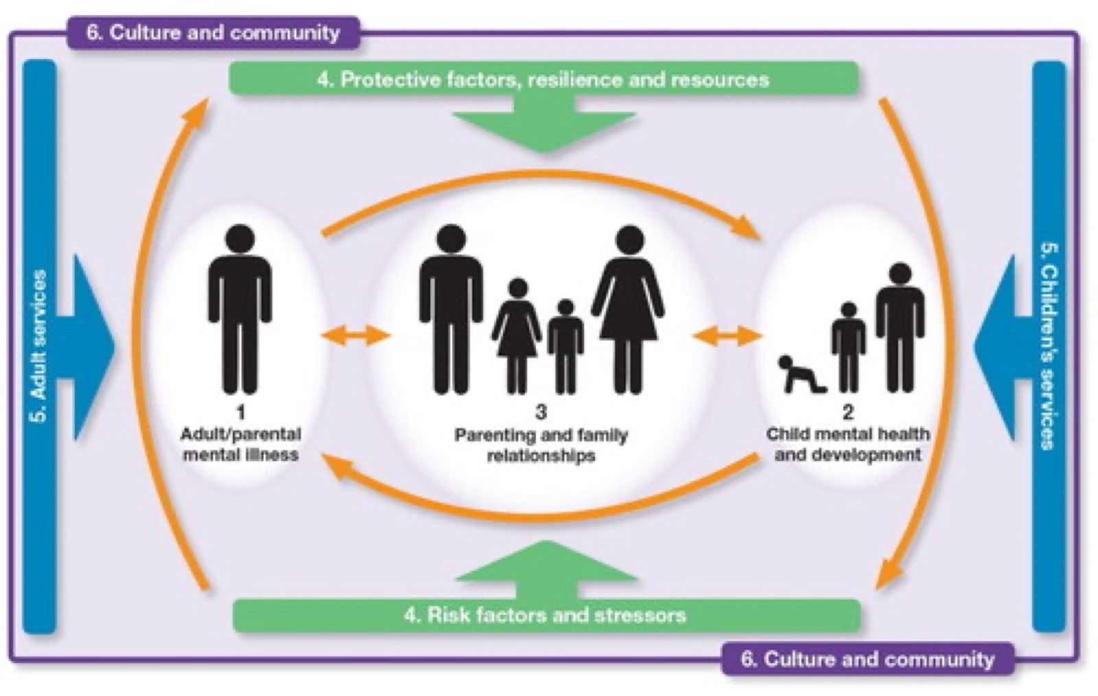 Schéma de The Family Model : au centre, les relations parentales et familiales, entre la maladie psychique de l’adulte ou du parent et la santé mentale et le développement de l’enfant, reliées par des flèches réciproques ; au-dessus les facteurs de protection, la résilience et les ressources, en dessous les facteurs de risque et de stress ; sur les côtés les services pour adultes et pour enfants ; autour, la culture et la communauté.