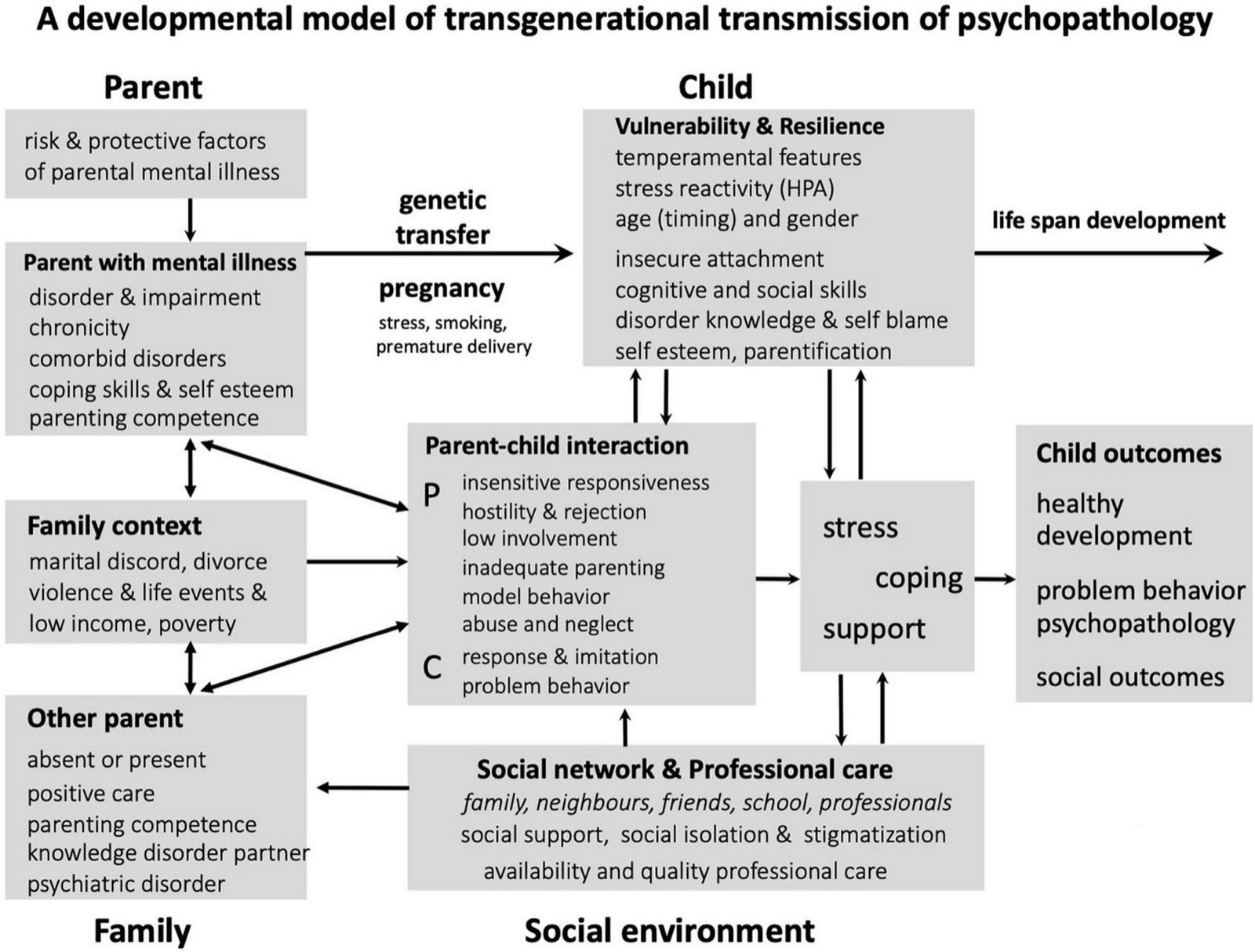 Schéma du modèle développemental de la transmission transgénérationnelle de la psychopathologie&nbsp;: le parent ayant un trouble psychique (trouble et retentissement, chronicité, comorbidités, capacités d&rsquo;adaptation et estime de soi, compétences parentales), le contexte familial (mésentente conjugale, divorce, violence, événements de vie, faibles revenus, pauvreté) et l&rsquo;autre parent (absent ou présent, soins positifs, compétences parentales, connaissance du trouble du partenaire, trouble psychiatrique) agissent sur l&rsquo;interaction parent-enfant (côté parent&nbsp;: réponse peu sensible, hostilité et rejet, faible implication, parentalité inadéquate, comportement servant de modèle, maltraitance et négligence&nbsp;; côté enfant&nbsp;: réponse et imitation, comportements problématiques)&nbsp;; transmission génétique et grossesse (stress, tabac, prématurité) relient le parent à l&rsquo;enfant (vulnérabilité et résilience&nbsp;: traits de tempérament, réactivité au stress, âge et genre, attachement insécure, compétences cognitives et sociales, connaissance du trouble et autoaccusation, estime de soi, parentification)&nbsp;; stress, adaptation et soutien conduisent aux devenirs de l&rsquo;enfant (développement sain, comportements problématiques, psychopathologie, devenir social)&nbsp;; le réseau social et les soins professionnels (famille, voisinage, amis, école, professionnels&nbsp;; soutien social, isolement social et stigmatisation, disponibilité et qualité des soins) agissent sur l&rsquo;ensemble
