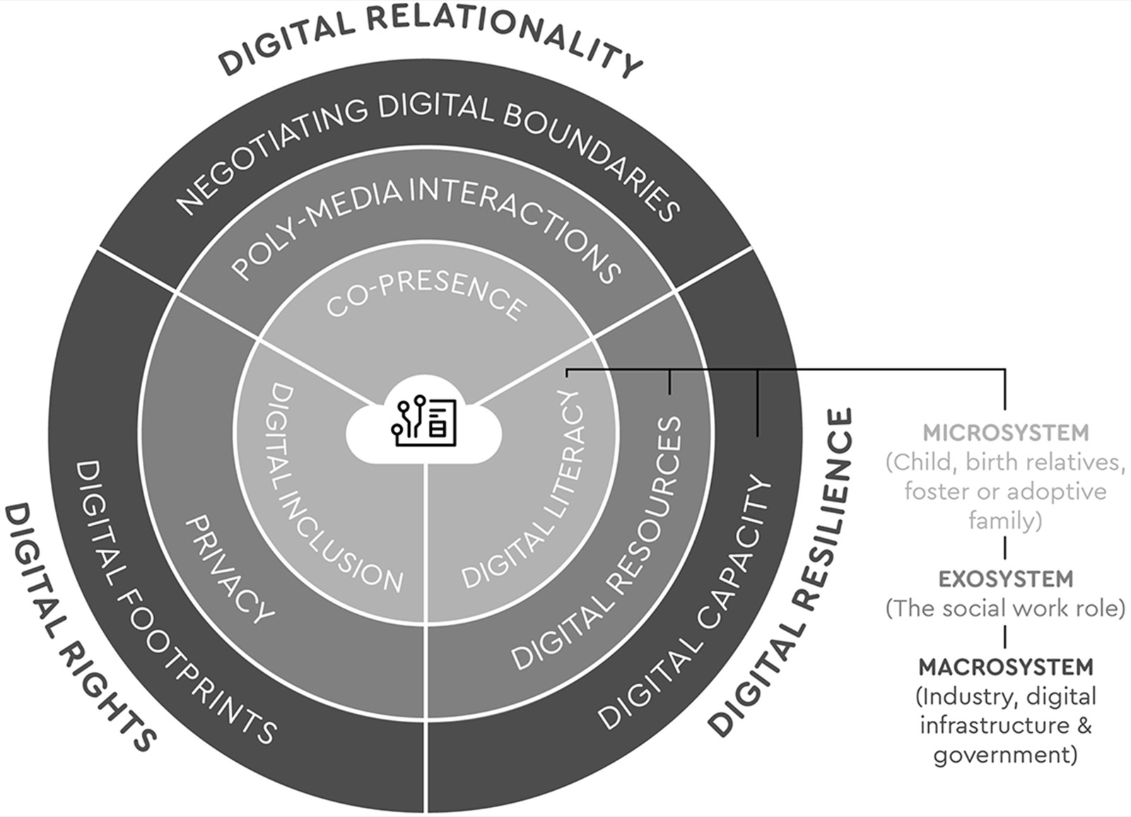 A digital social ecology for birth family contact.