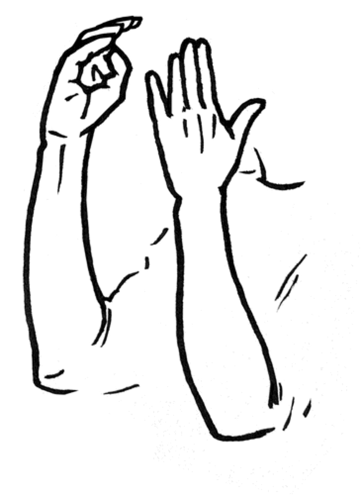 Dessin au trait des mains de l&rsquo;épouse qui commencent à s&rsquo;ouvrir, comme on soulève un couvercle.