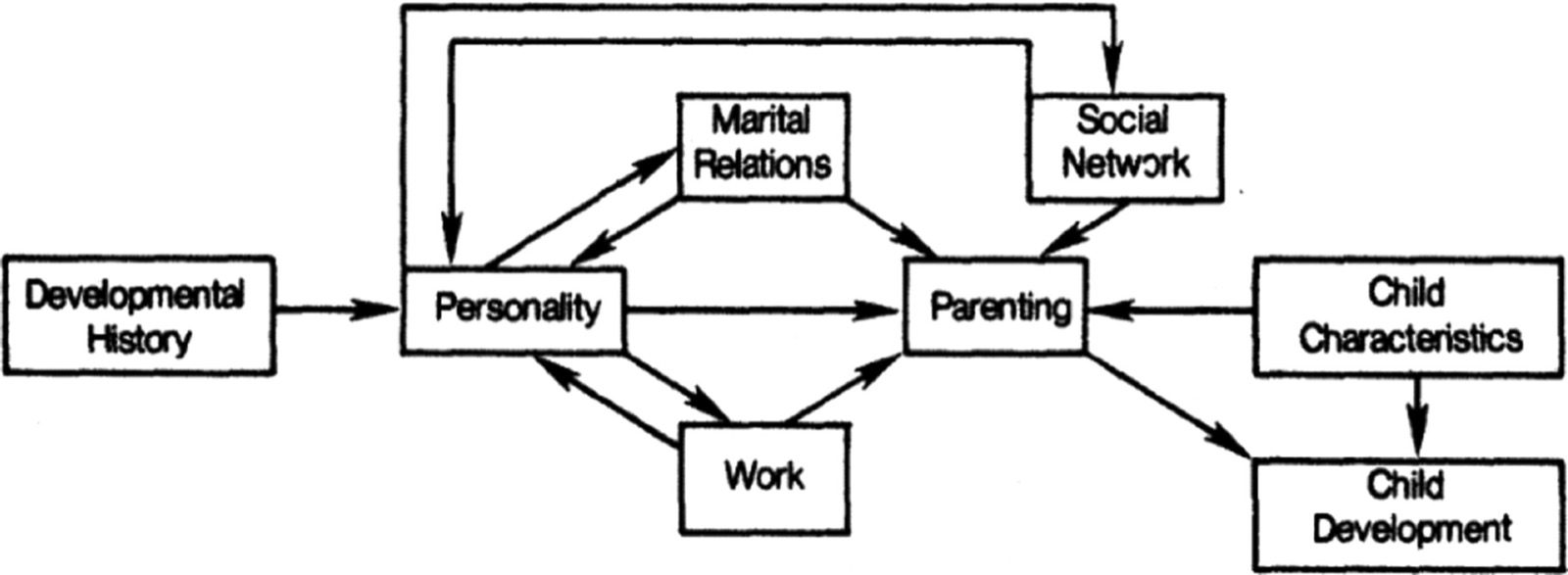 Schéma du modèle des déterminants de la parentalité de Belsky : histoire développementale, relations conjugales, réseau social et travail, personnalité, caractéristiques de l'enfant et fonctionnement parental, reliés par des flèches