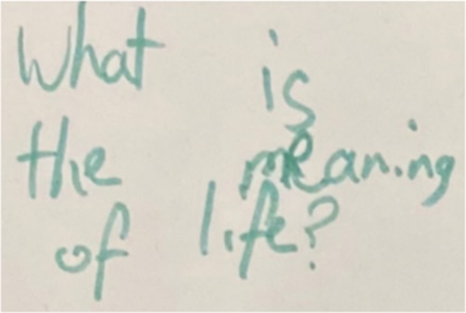 Photo d&rsquo;une carte manuscrite au feutre vert&nbsp;: « What is the meaning of life? » (C&rsquo;est quoi le sens de la vie&nbsp;?)