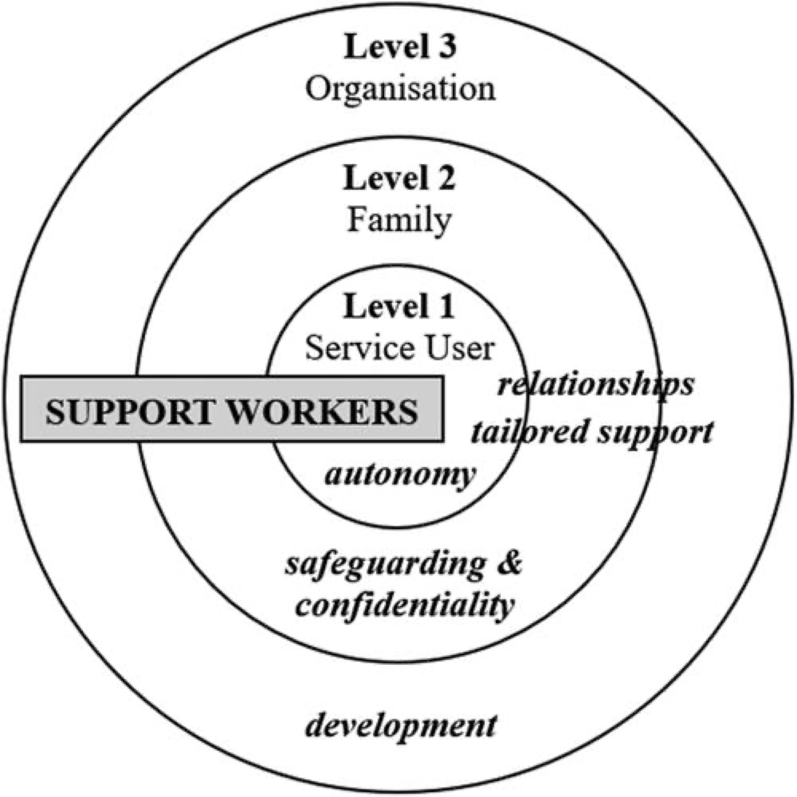 Nested Family Support: The axial role of support workers across the three levels with key aspects of support (in italics).