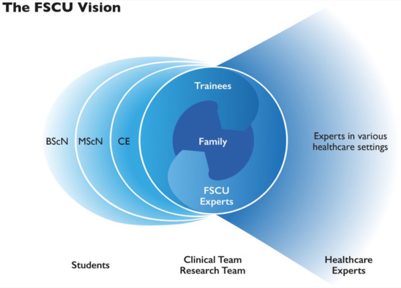 Schéma de la vision de l&rsquo;USSF&nbsp;: l&rsquo;unité au centre, entourée de la pratique clinique, de l&rsquo;enseignement bachelor, master et continu, de la recherche et d&rsquo;un entonnoir vers les milieux de soins